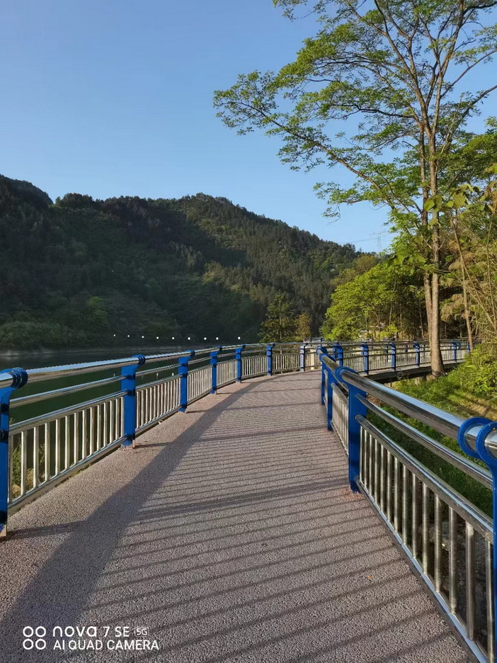 不锈钢复合管护栏